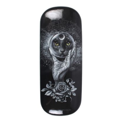 Picture of Grimalkin's Glass Glasses Case by Alchemy