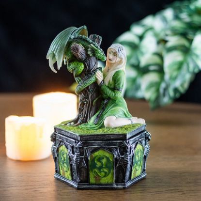 Picture of Dragon Friendship Summer Box by Anne Stokes