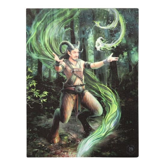 Picture of 19x25cm Earth Element Wizard Canvas Plaque by Anne Stokes