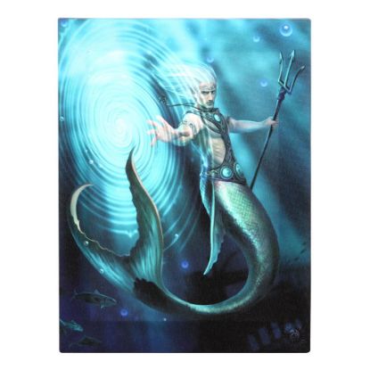 Picture of 19x25cm Water Element Wizard Canvas Plaque by Anne Stokes