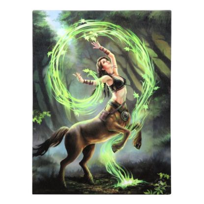 Picture of 19x25cm Earth Element Sorceress Canvas Plaque by Anne Stokes