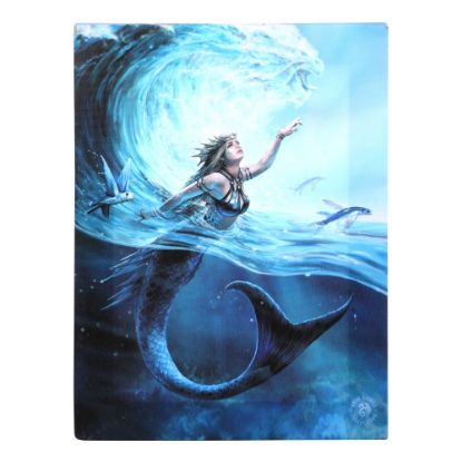 Picture of 19x25cm Water Element Sorceress Canvas Plaque by Anne Stokes