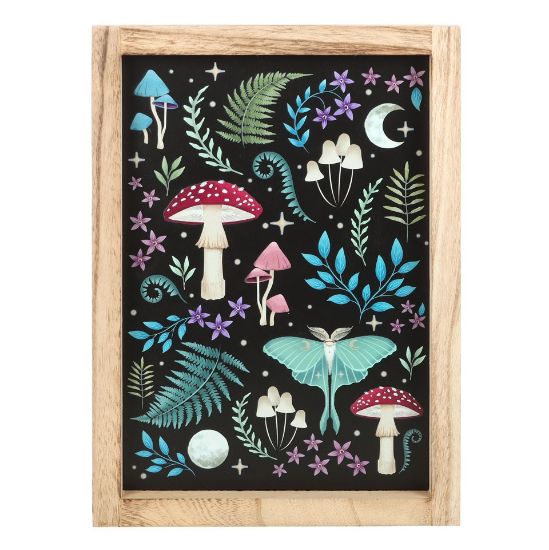 Picture of Dark Forest Framed Wall Print