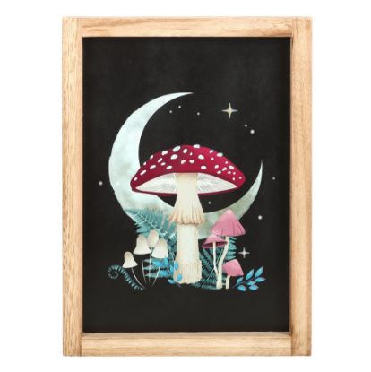 Picture of Forest Mushroom Framed Wall Print