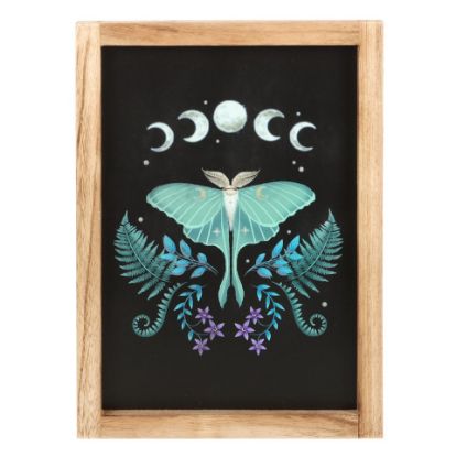 Picture of Luna Moth Wooden Framed Wall Art