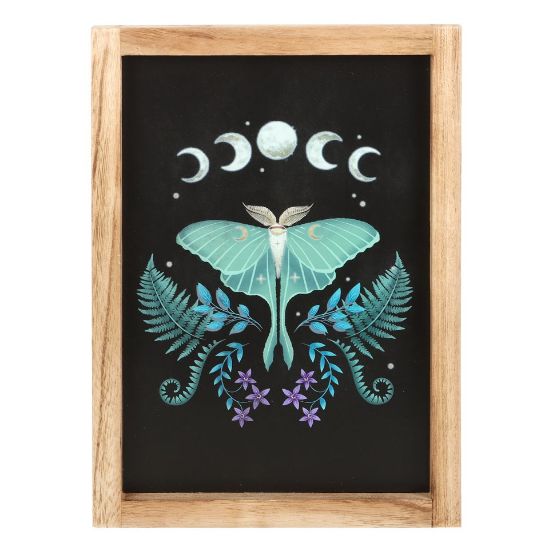 Picture of Luna Moth Wooden Framed Wall Art