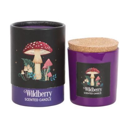 Picture of Forest Mushroom Wildberry Candle