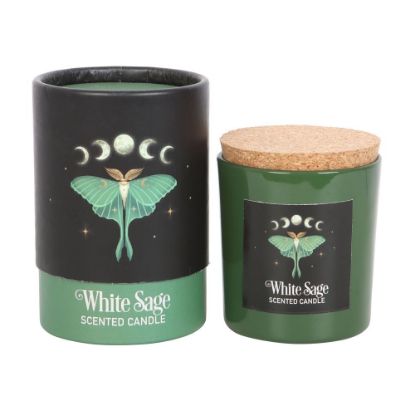 Picture of Luna Moth White Sage Candle