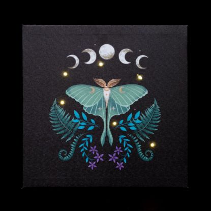 Picture of Luna Moth Light Up Canvas Plaque