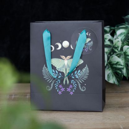 Picture of 23cm Medium Luna Moth Gift Bag