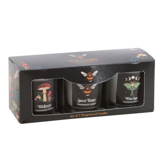 Picture of Dark Forest Votive Candle Trio