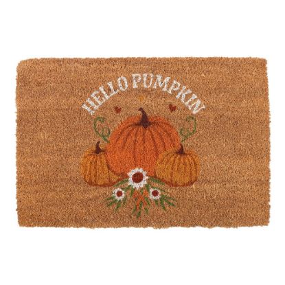 Picture of Natural Autumn Days Hello Pumpkin Doormat