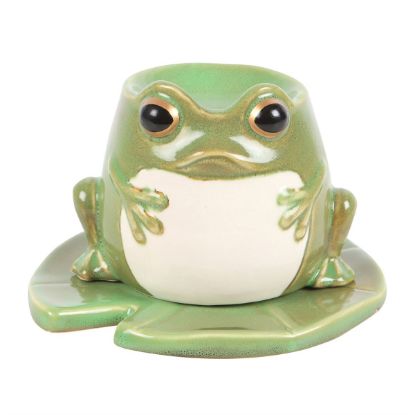 Picture of Frog Shaped Oil Burner on Lily Pad