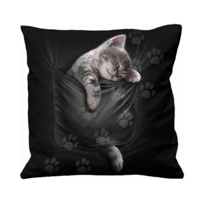 Picture of 40cm Square Pocket Kitten Cushion by Spiral Direct