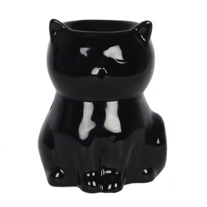 Picture of Black Cat Oil Burner