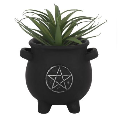 Picture of Pentagram Cauldron Plant Pot
