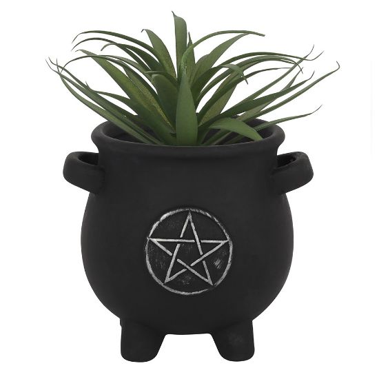 Picture of Pentagram Cauldron Plant Pot