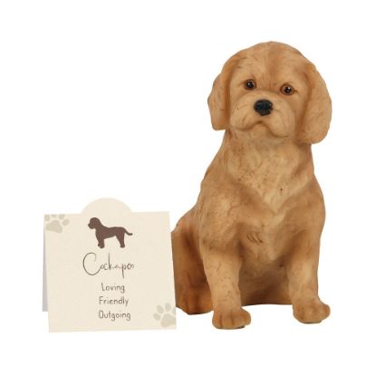 Picture of Cockapoo Resin Dog Ornament