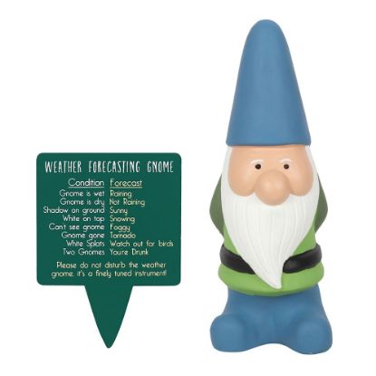 Picture of Large Weather Forecasting Gnome