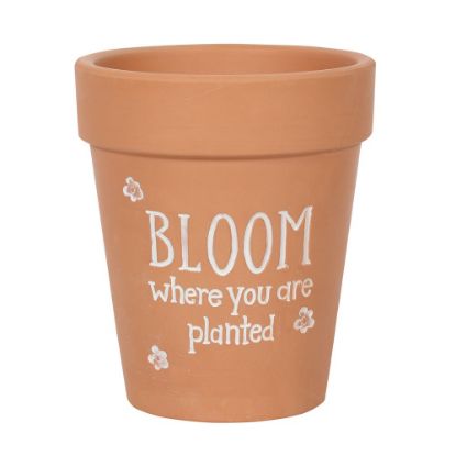 Picture of Bloom Where You Are Planted Terracotta Plant Pot