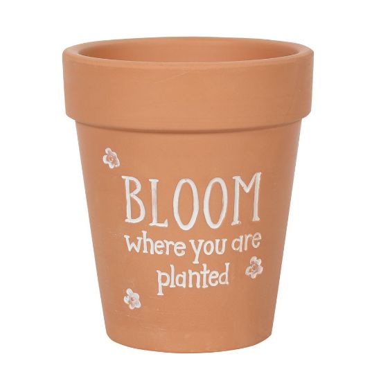 Picture of Bloom Where You Are Planted Terracotta Plant Pot