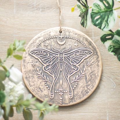 Picture of Luna Moth Terracotta Plaque