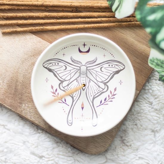 Picture of Luna Moth Incense Holder