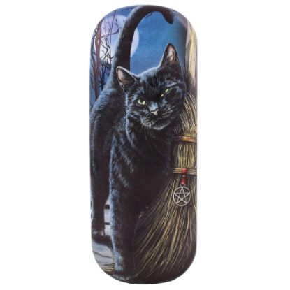 Picture of Brush With Magick Glasses case By Lisa Parker 
