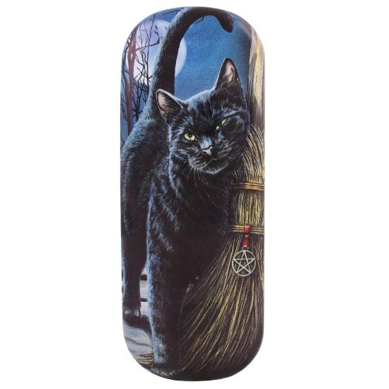Picture of Brush With Magick Glasses case By Lisa Parker 