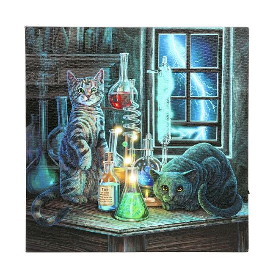 Picture of Jekyll and Hyde Light Up LED Canvas Plaque by Lisa Parker