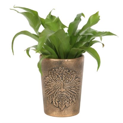 Picture of Green Man Bronze Terracotta Plant Pot by Lisa Parker