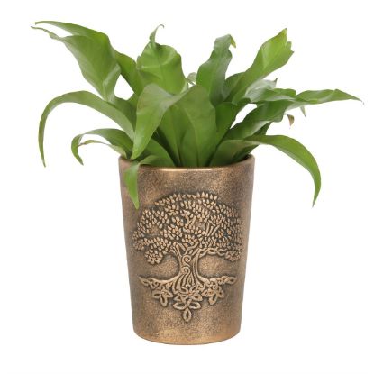 Picture of Tree of Life Bronze Terracotta Plant Pot by Lisa Parker