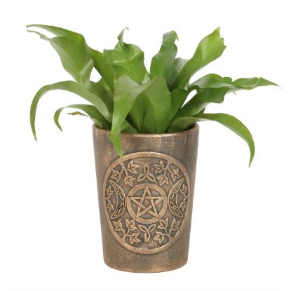 Picture of Triple Moon Bronze Terracotta Plant Pot by Lisa Parker