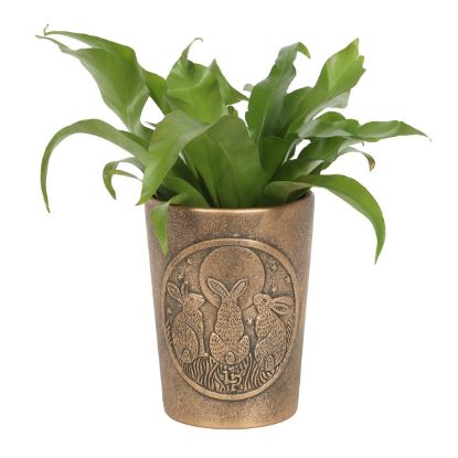 Picture of Moon Shadows Bronze Terracotta Plant Pot by Lisa Parker
