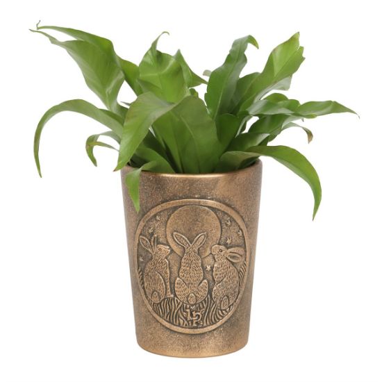 Picture of Moon Shadows Bronze Terracotta Plant Pot by Lisa Parker