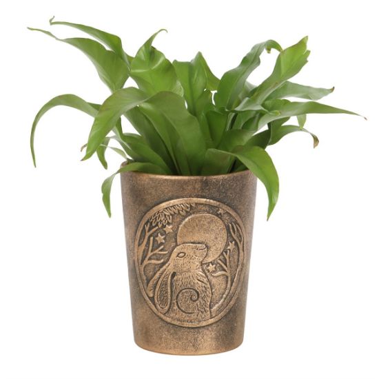 Picture of Moon Gazing Hare  Bronze Terracotta Plant Pot by Lisa Parker