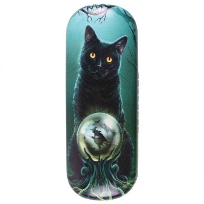 Picture of Rise of The Witches Glasses Case by Lisa Parker