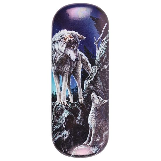 Picture of Guidance Glasses Case by Lisa Parker