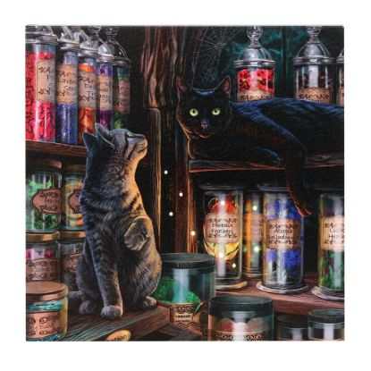 Picture of Magical Emporium Light Up Canvas Plaque by Lisa Parker