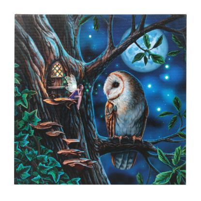 Picture of Fairy Tales Light Up Canvas Plaque by Lisa Parker