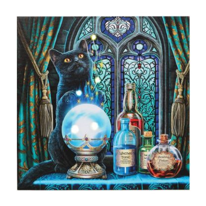 Picture of The Witches Apprentice Light Up Canvas Plaque by Lisa Parker