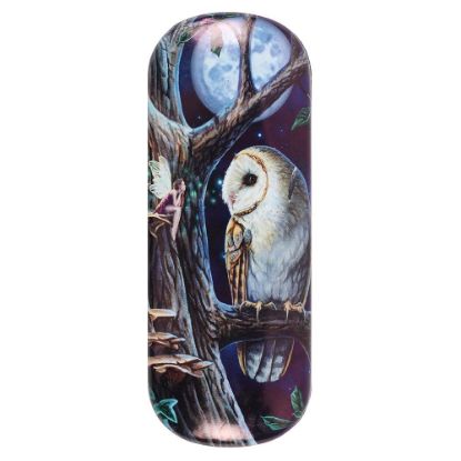 Picture of Fairy Tales Glasses Case by Lisa Parker