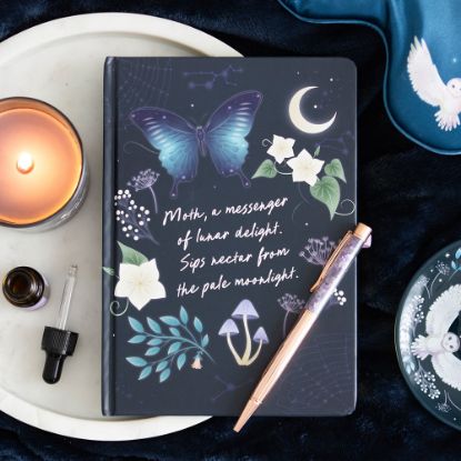 Picture of Midnight Moth Journal with Amethyst Pen