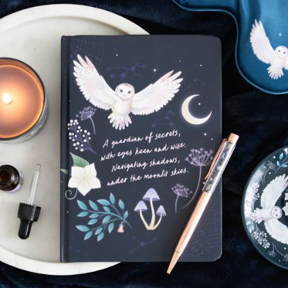 Picture of Night Owl Journal with Sodalite Pen