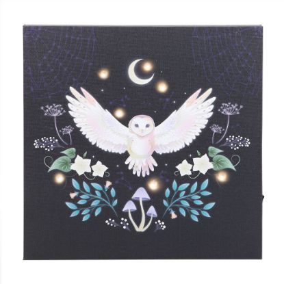 Picture of Midnight Moth Light Up Canvas Plaque
