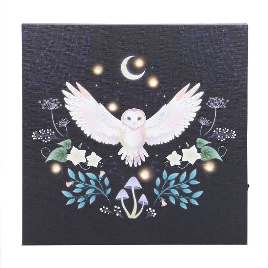 Picture of Midnight Moth Light Up Canvas Plaque