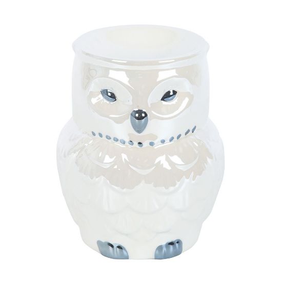 Picture of Owl Shaped Iridescent Oil Burner and Wax Warmer