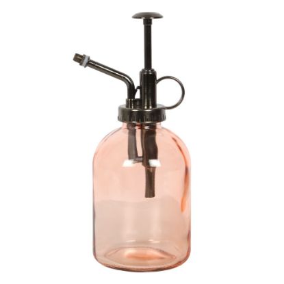 Picture of Pink Minimalist Glass Plant Mister