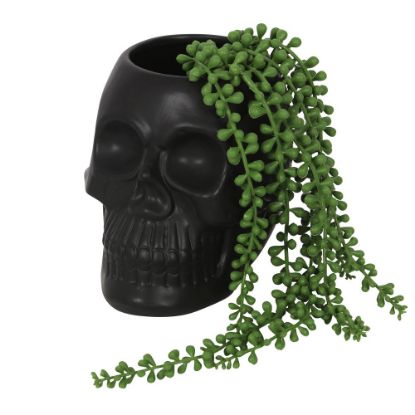 Picture of Black Skull Plant Pot