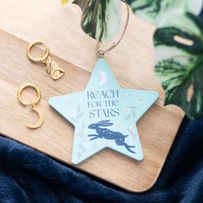 Picture of Reach for the Stars Hare Hanging Decoration